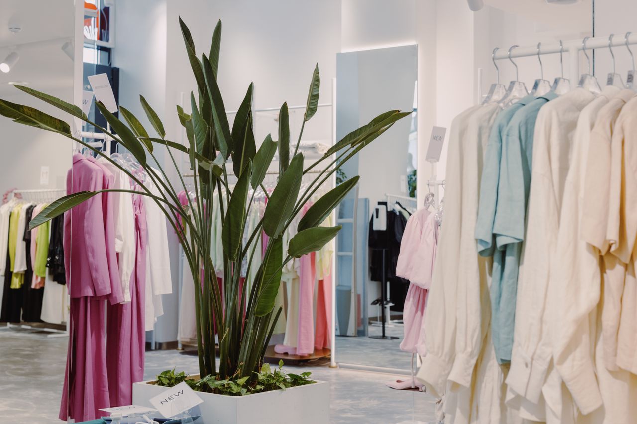 Bright and airy boutique featuring pastel garments and a lush green plant centerpiece.